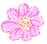 Spinning flower